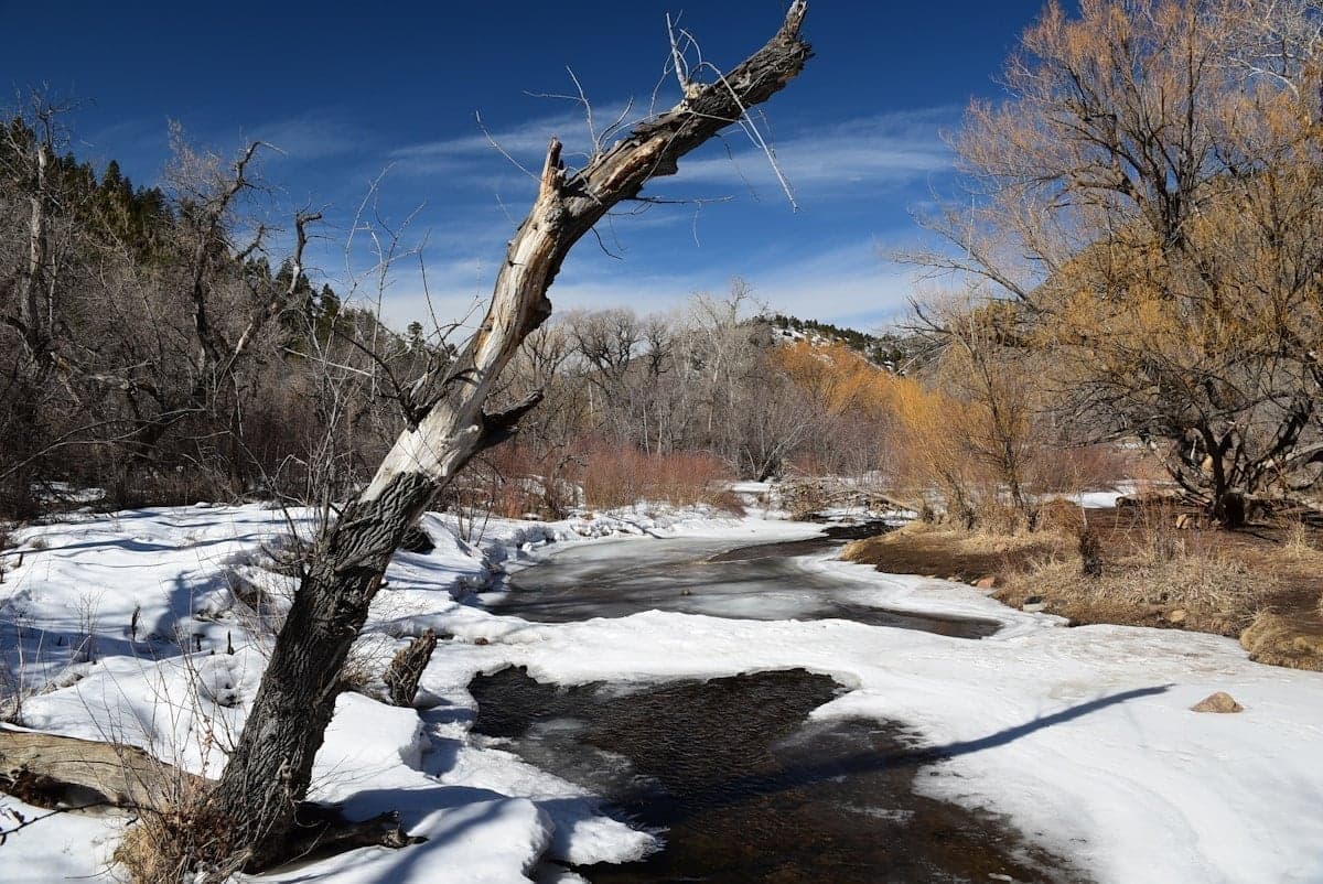 Winter tailwaters in Colorado stay productive when freestones are too cold to fish