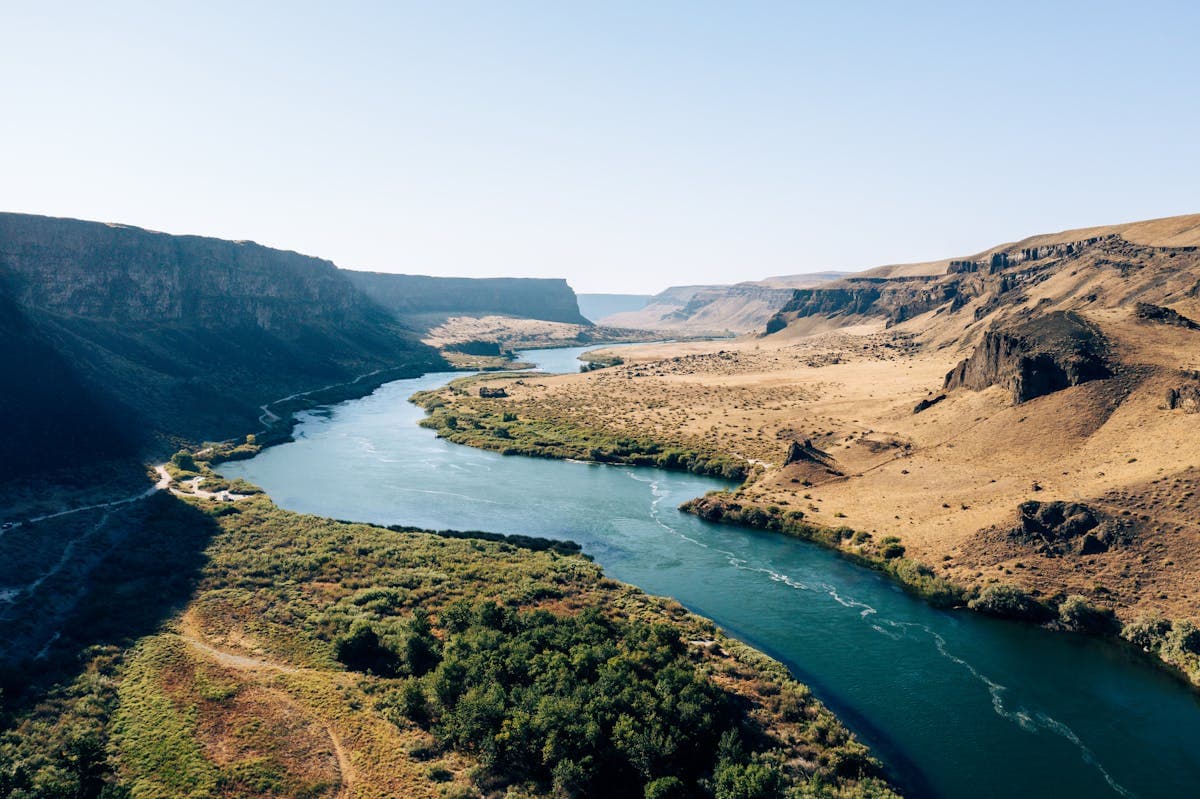 Idaho's river canyons hold native cutthroat in remote water with far less pressure than Montana
