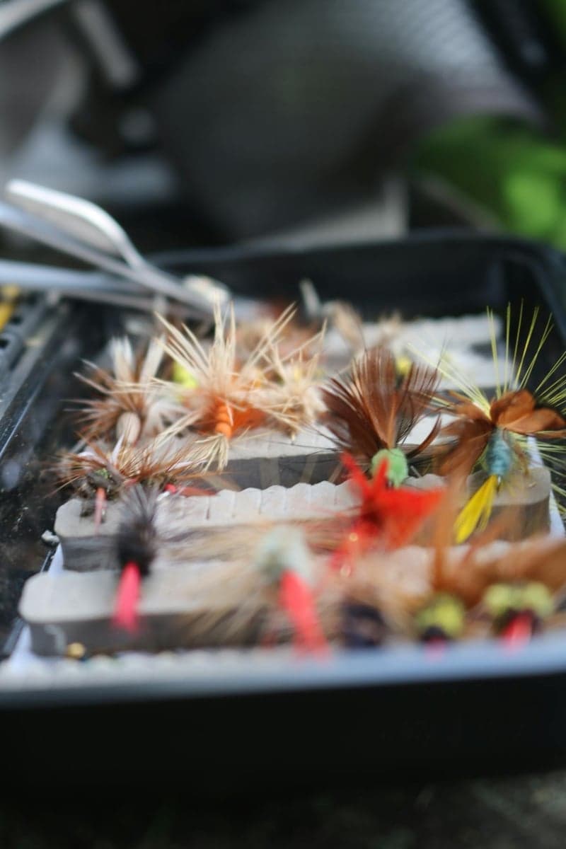 A well-stocked steelhead fly box - egg patterns, nymphs, and streamers cover the Chagrin's seasonal range from fall chrome to spring spawners
