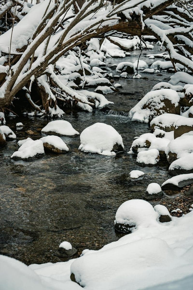 The Chagrin's shale gorge in winter - ice shelves form along the banks during cold snaps, and the tea-stained water clears to its characteristic green-grey at fishable levels