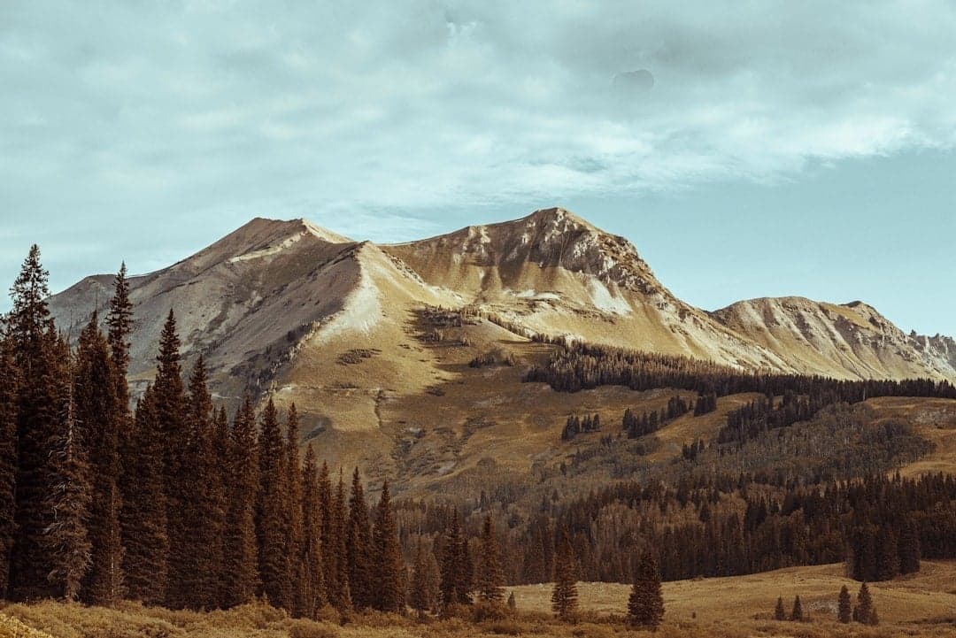 Mountain valley near Crested Butte with wildflower meadows and peaks
