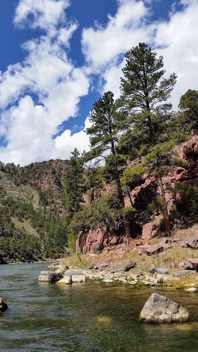 Red-brown cliffs and ponderosa pines line the Green River below Flaming Gorge Dam, with the emerald tailwater running clear over boulders