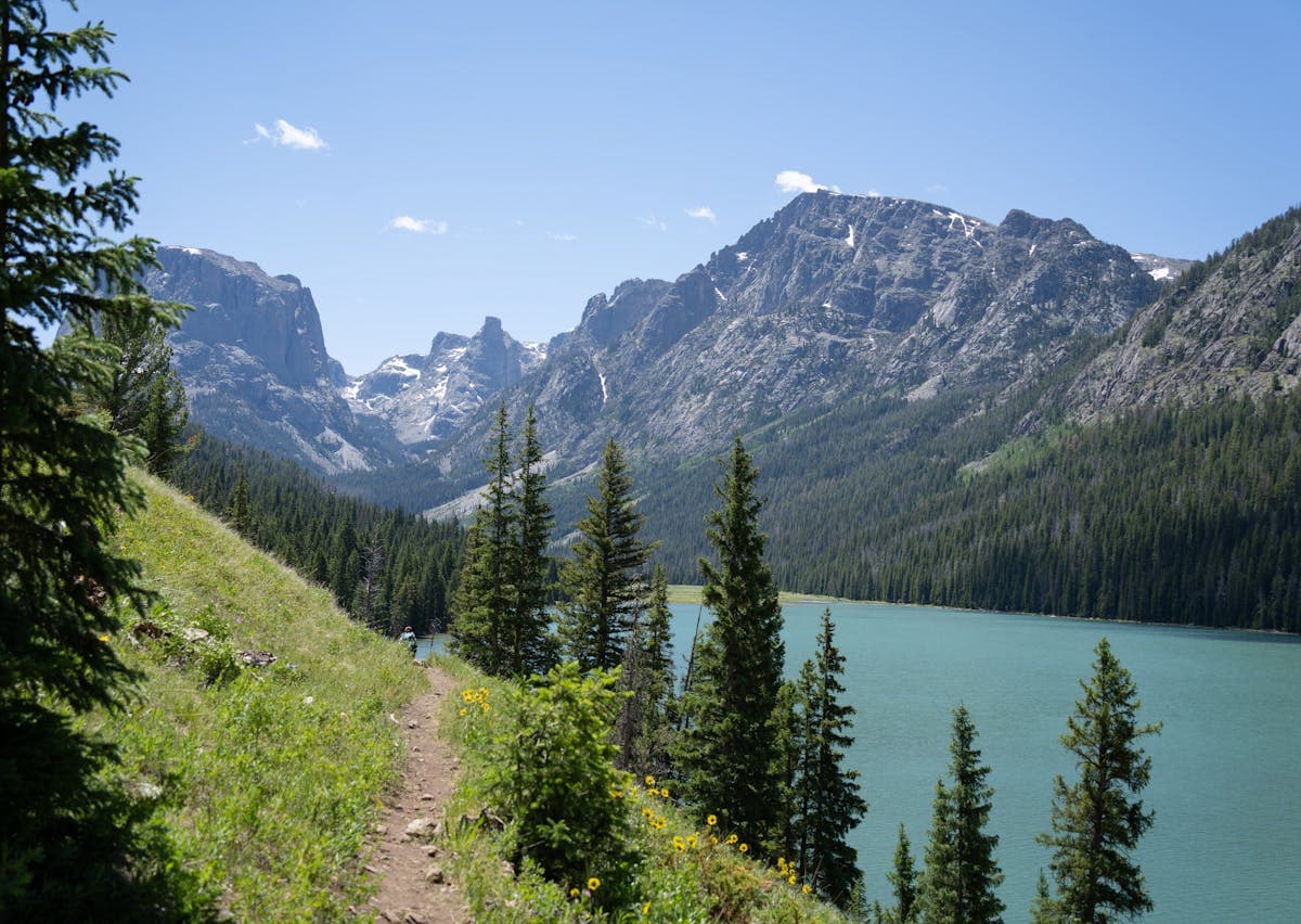 The Green River valley in Wyoming - a classic freestone river flowing through ranch country