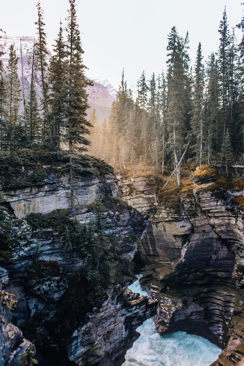 Rocky canyon water like this defines the Box Canyon section, where lava boulders create holding lies