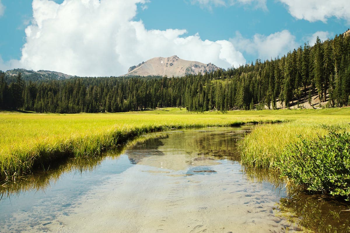 A meadow creek with mountain backdrop in central Idaho — the kind of open, flat landscape that defines Silver Creek