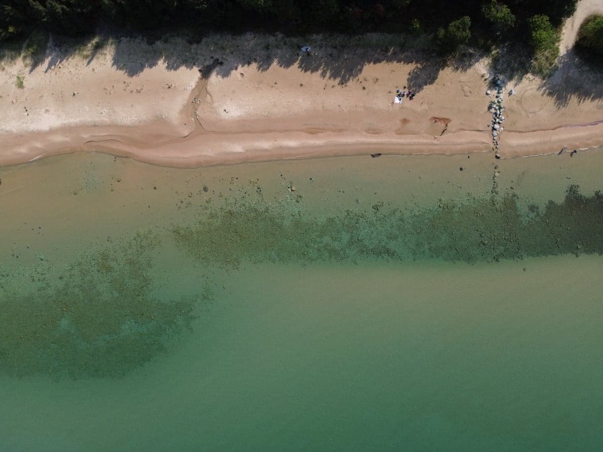 Northern Lake Michigan near Bliss. Sand, gin-clear water, and carp that behave exactly like bonefish.