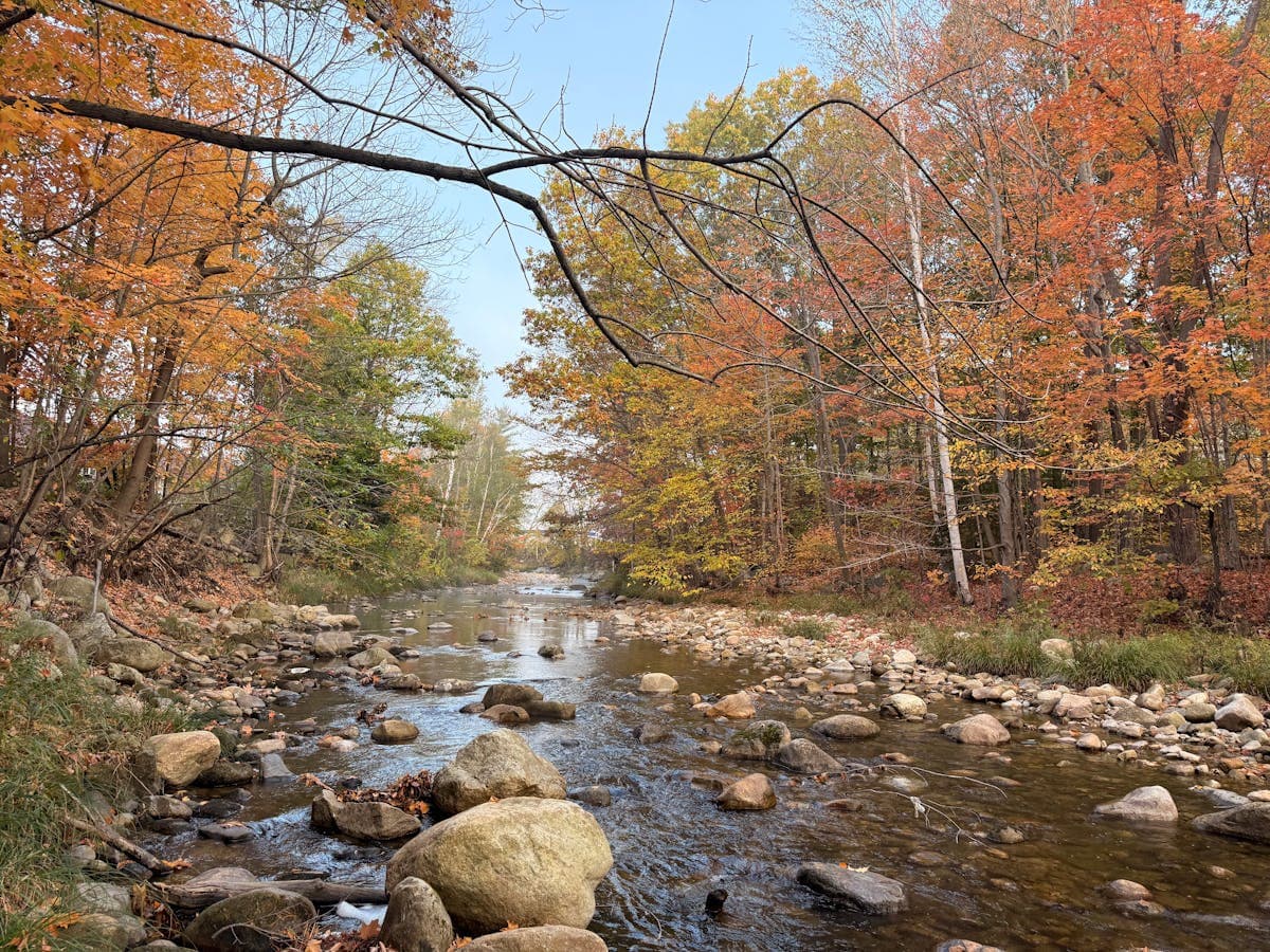 A New Hampshire river in autumn -- many of the state's best paddling runs double as fishing water