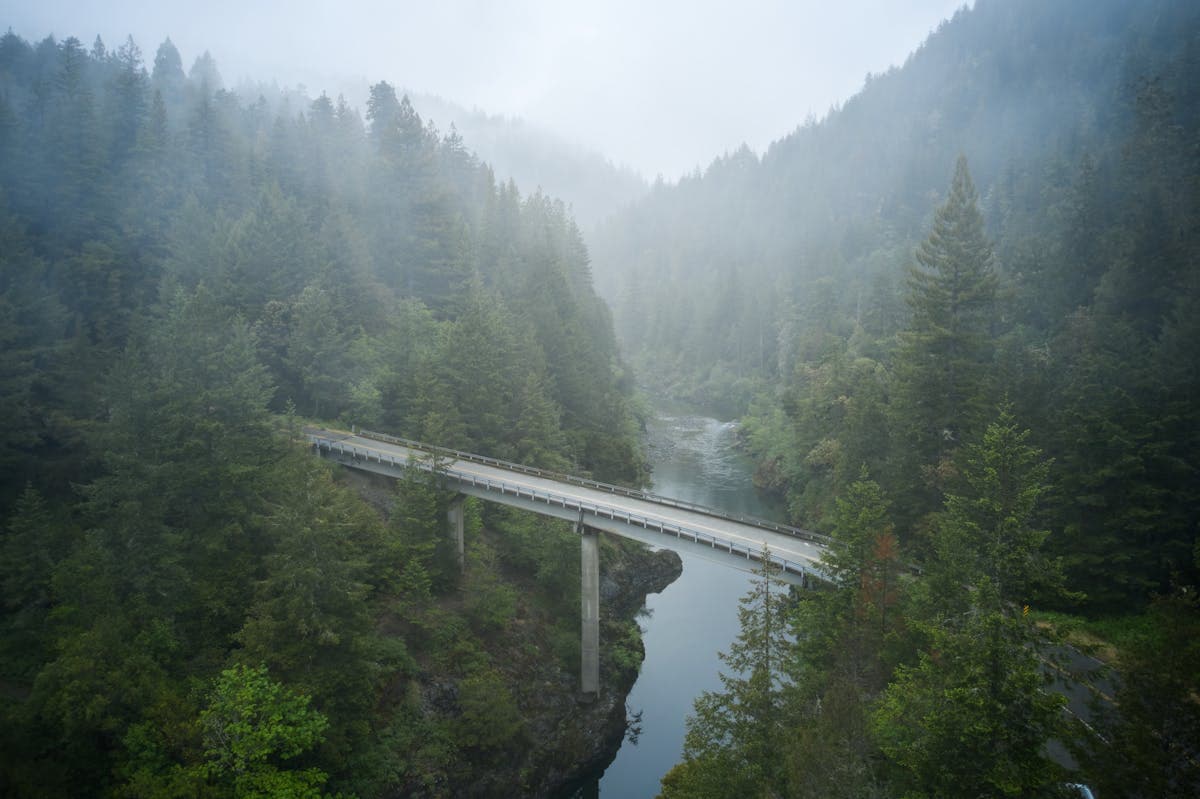 Northern California's North Coast rivers offer classic steelhead water amid towering redwoods.