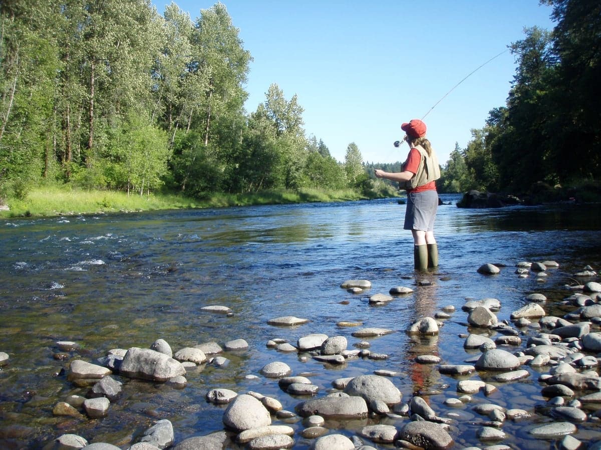 Working a fly line on a spring creek — the Mad River's crystal-clear water demands long leaders, stealth, and a drag-free drift on the first cast
