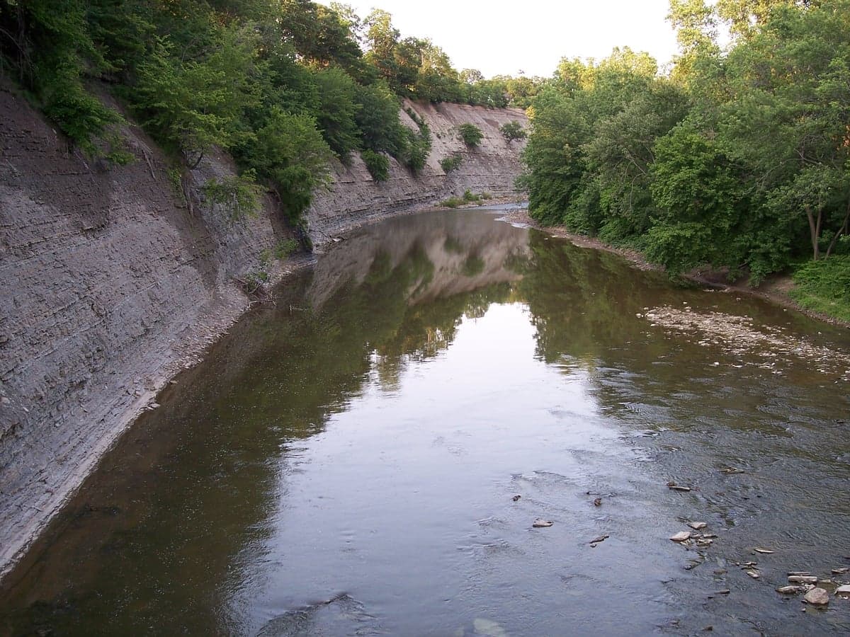 The Rocky River flowing through Cleveland Metroparks in Lakewood — possibly the most accessible steelhead fishery in the country