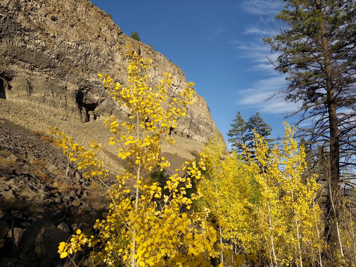 Golden aspens light up the canyon walls from late September through mid-October. Fall is when many regulars consider the South Platte at its best.