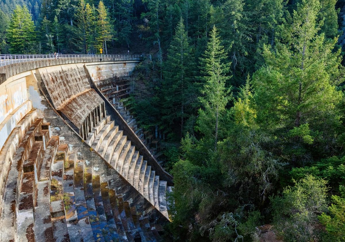 A mountain dam nestled in dense forest. Cheesman Dam, built from hand-cut granite in 1905, controls the South Platte's flows, water temperature, and fishing character year-round.