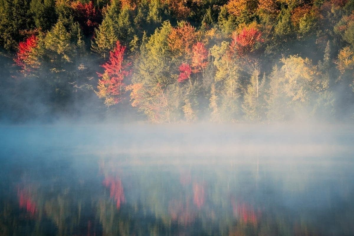 A Vermont country road in peak fall color — September and October bring the best combination of uncrowded water and consistent hatches
