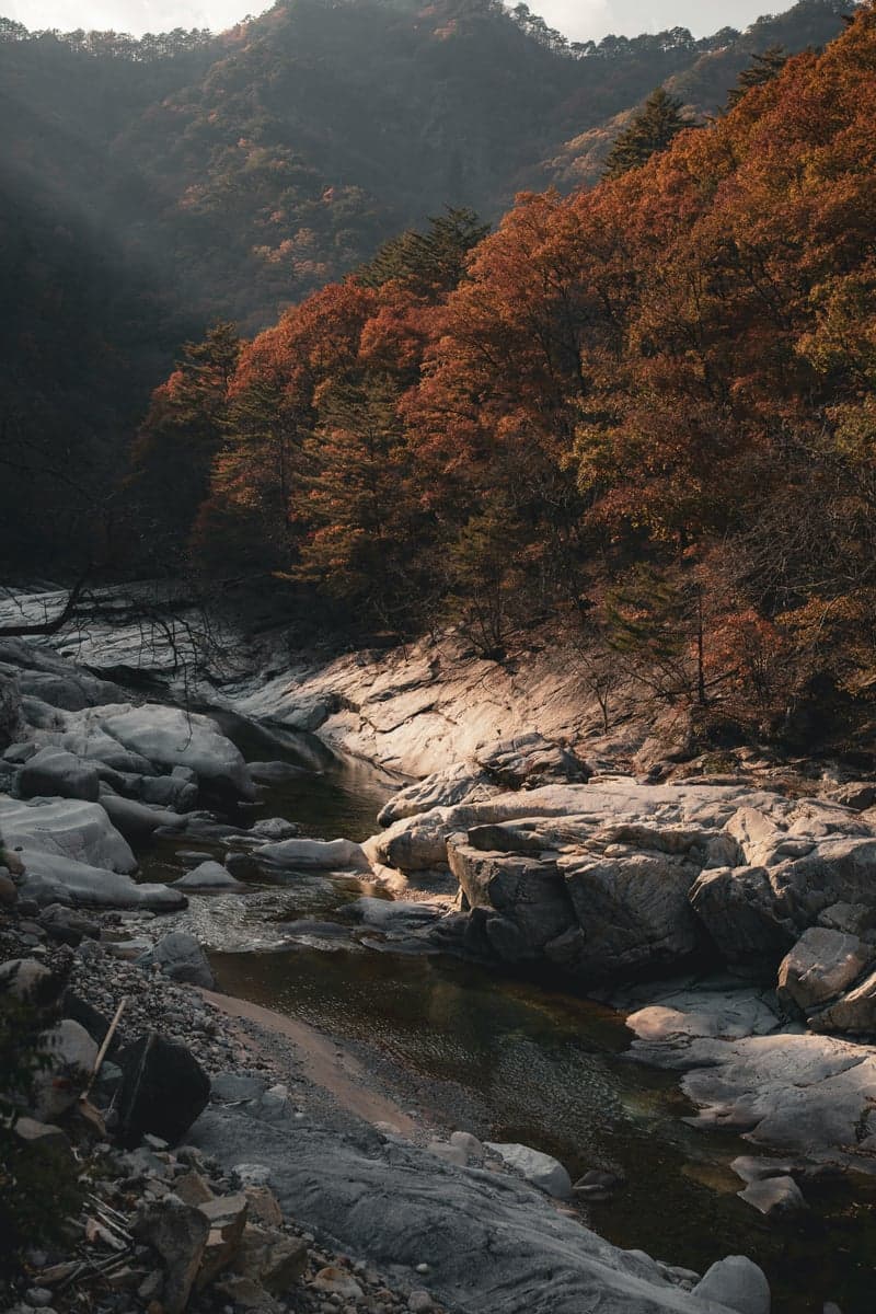 A river flowing through a rocky Appalachian gorge in autumn, typical of Virginia's Blue Ridge mountain streams