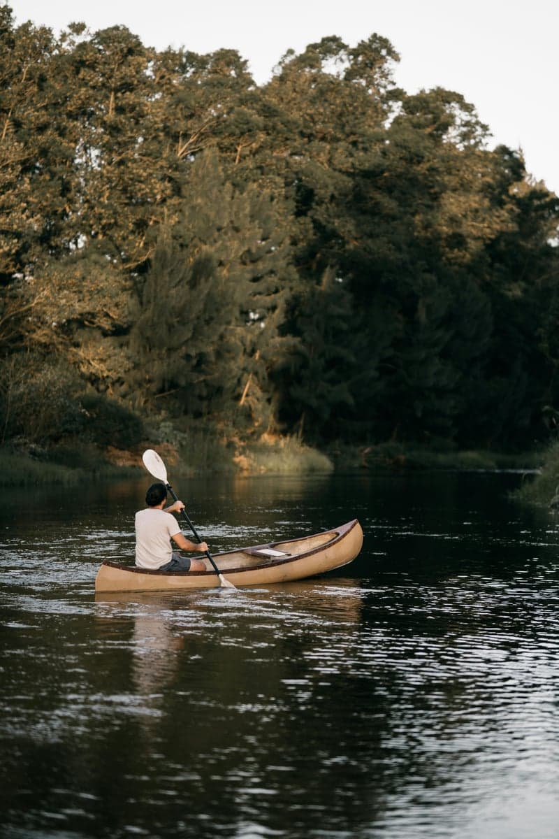 Canoeing a calm, tree-lined river, a popular way to access Virginia's bass waters on the Shenandoah and New Rivers