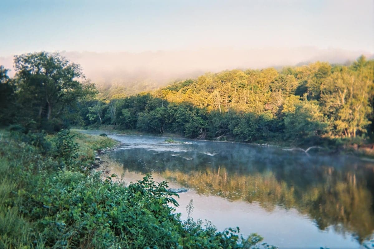 Early morning mist rising off a forested river at sunrise, a scene common on Virginia's mountain trout streams