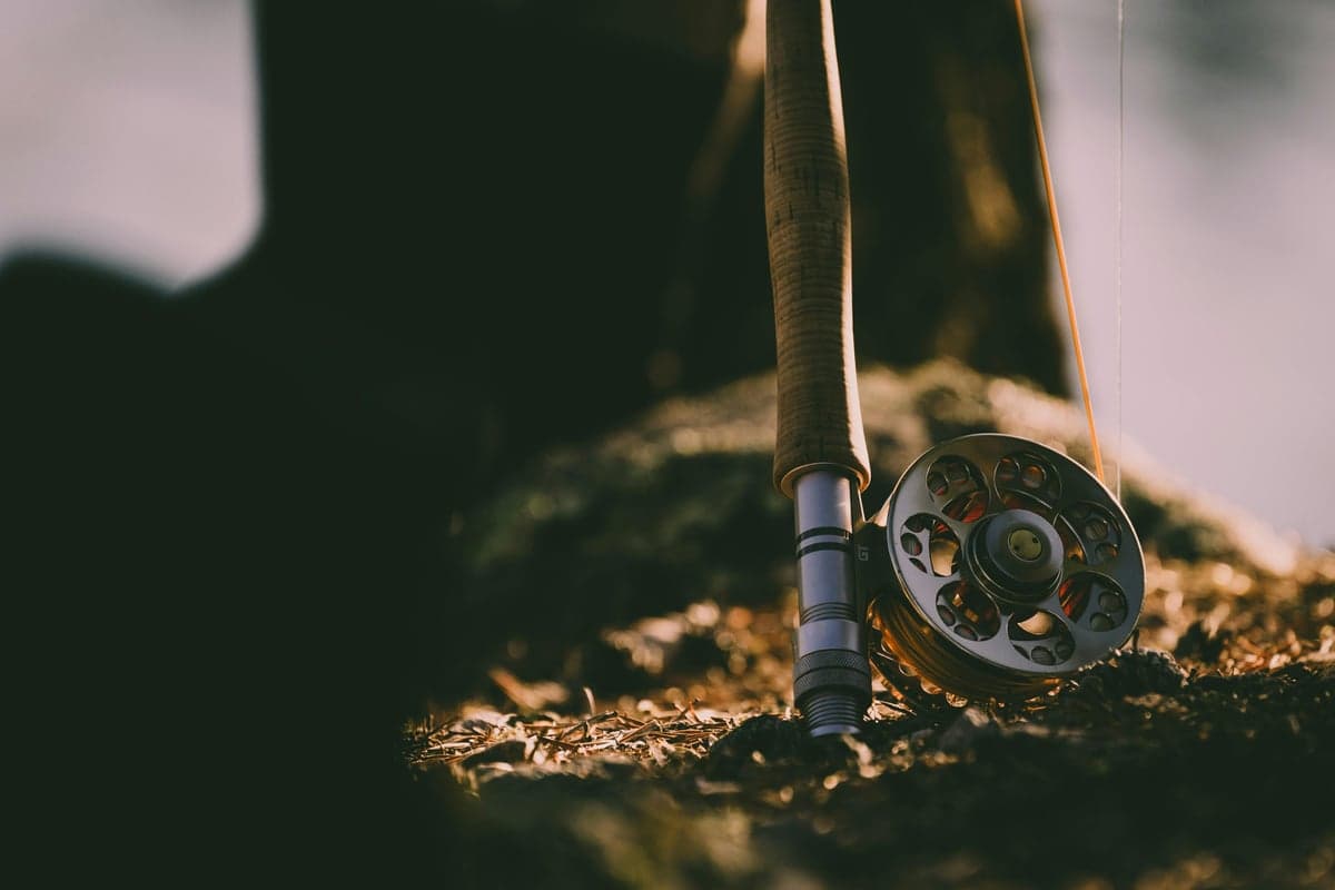 Vintage-style fly rod and reel on autumn ground, ready for a day on Virginia's trout waters