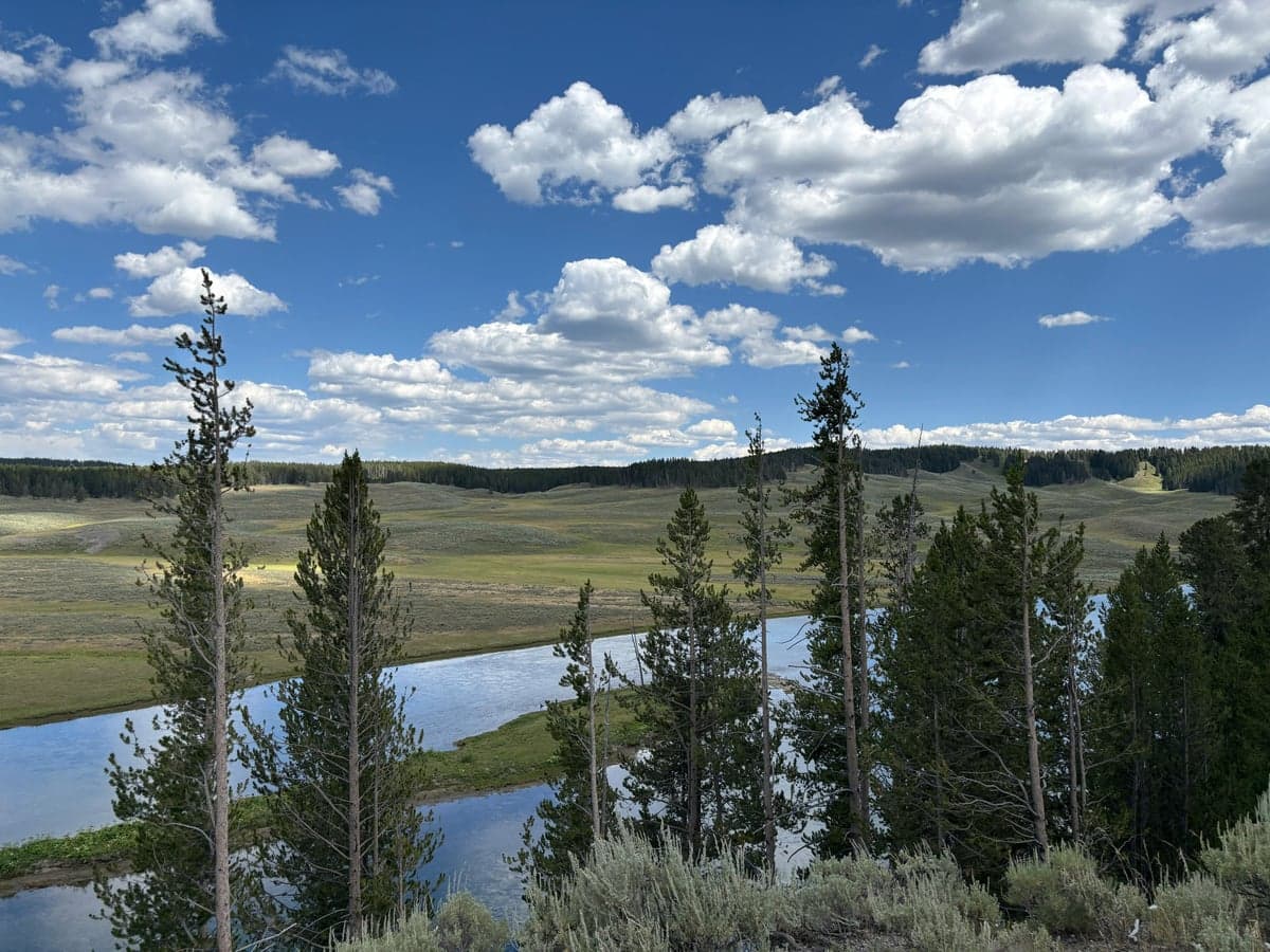 The Madison River near West Yellowstone, Montana. The town is the primary base camp for anglers fishing the park's western waters.