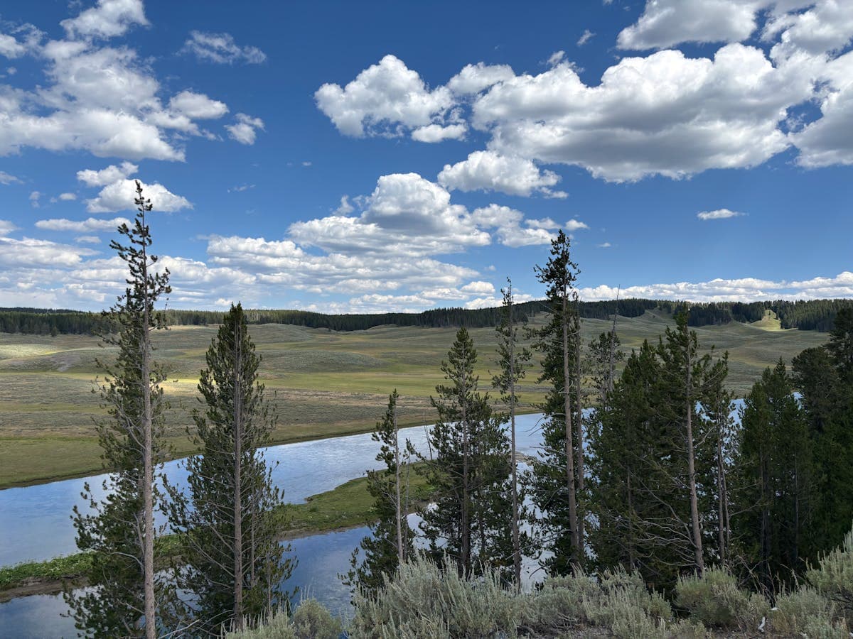Wide river valley near Yellowstone — sagebrush, open meadows, and wind pushing hoppers into the current