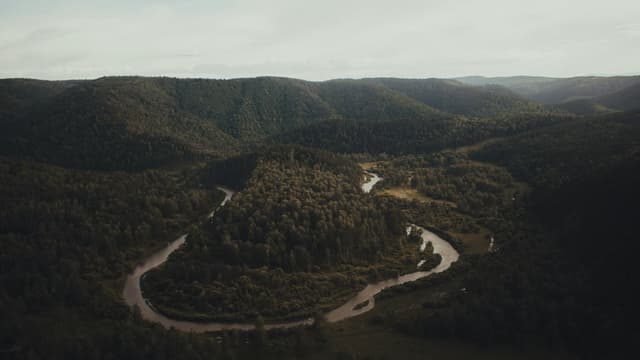Au Sable River Fly Fishing: Michigan Hex Hatch & Holy Waters | River ...