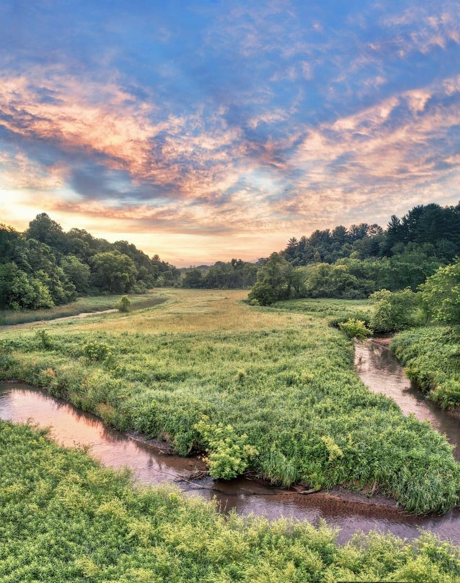 A spring-fed Driftless creek in Wisconsin. Water this cold and this consistent doesn't need a single flake of mountain snow.