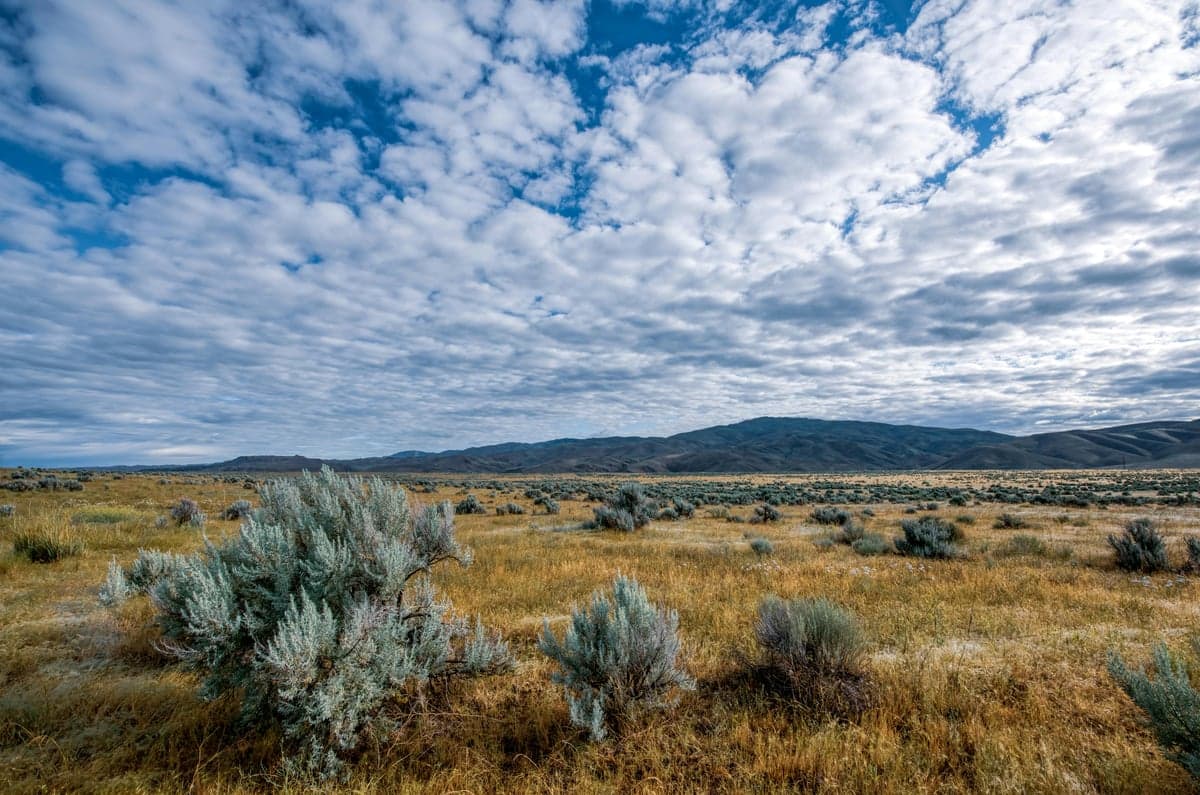 The high desert terrain surrounding the North Platte: sagebrush, rolling hills, and wind
