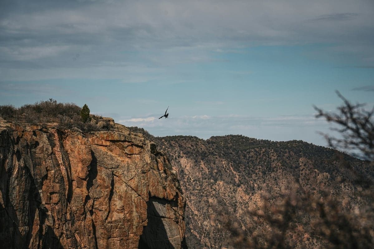 Eleven Mile Canyon on the South Platte - classic pocket water perfect for beginners