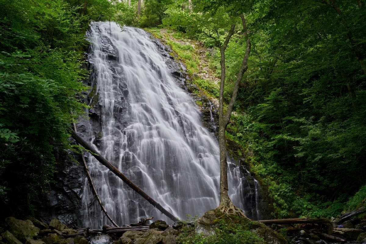 Western North Carolina's mountain streams offer clear water and spectacular scenery