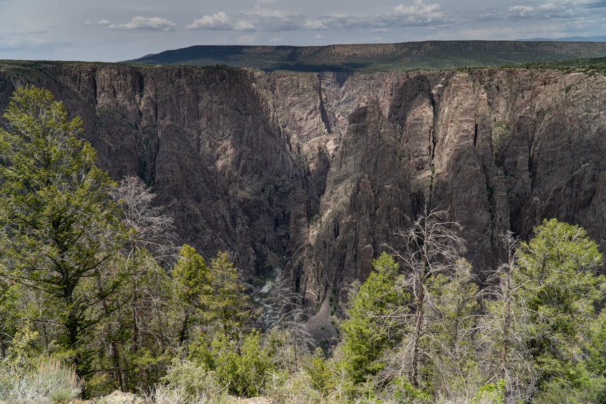The Gunnison Gorge in summer. Canyon walls hold shade through much of the day, keeping water temperatures stable even as the desert landscape above bakes in the heat.