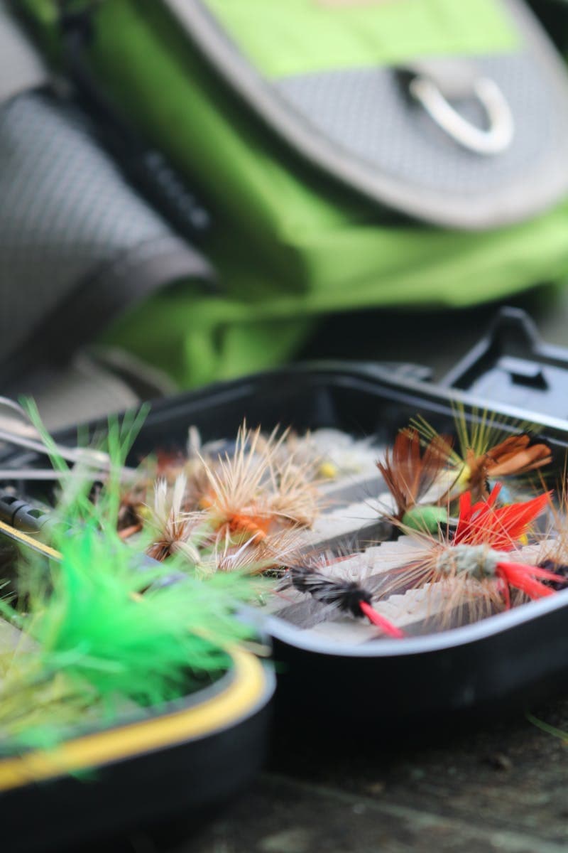 A well-stocked fly box - start with 6 of each pattern and you'll be set