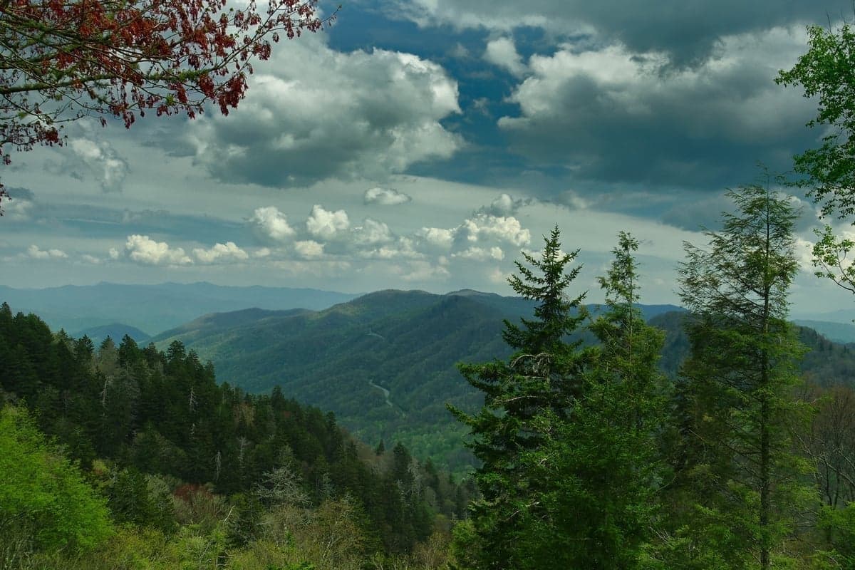 Great Smoky Mountains National Park - 522,000 acres of protected wilderness with over 700 miles of fishable streams