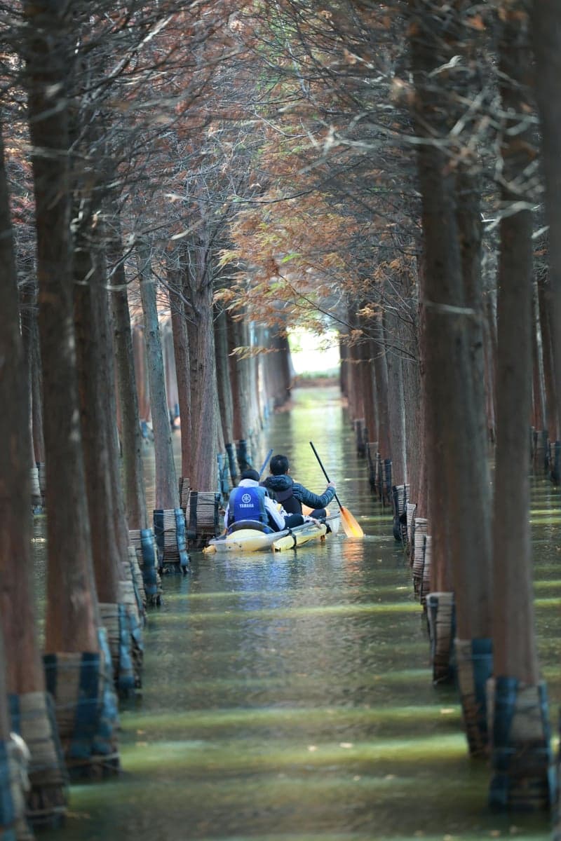 Canoeing the Au Sable through fall colors. The upper sections from Grayling offer gentle, family-friendly paddling through the state forest
