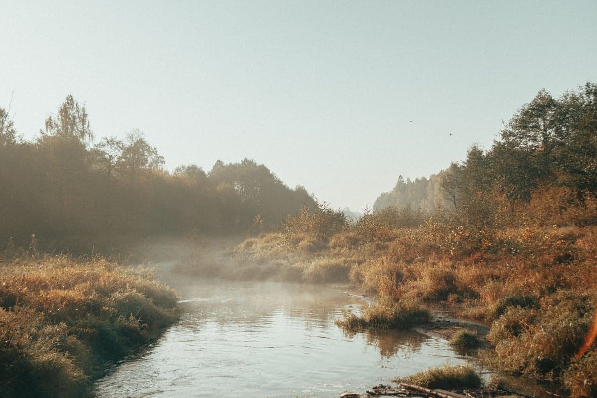Early morning is the safest window for warm-weather trout fishing. Get on the water at dawn, and be done by noon.