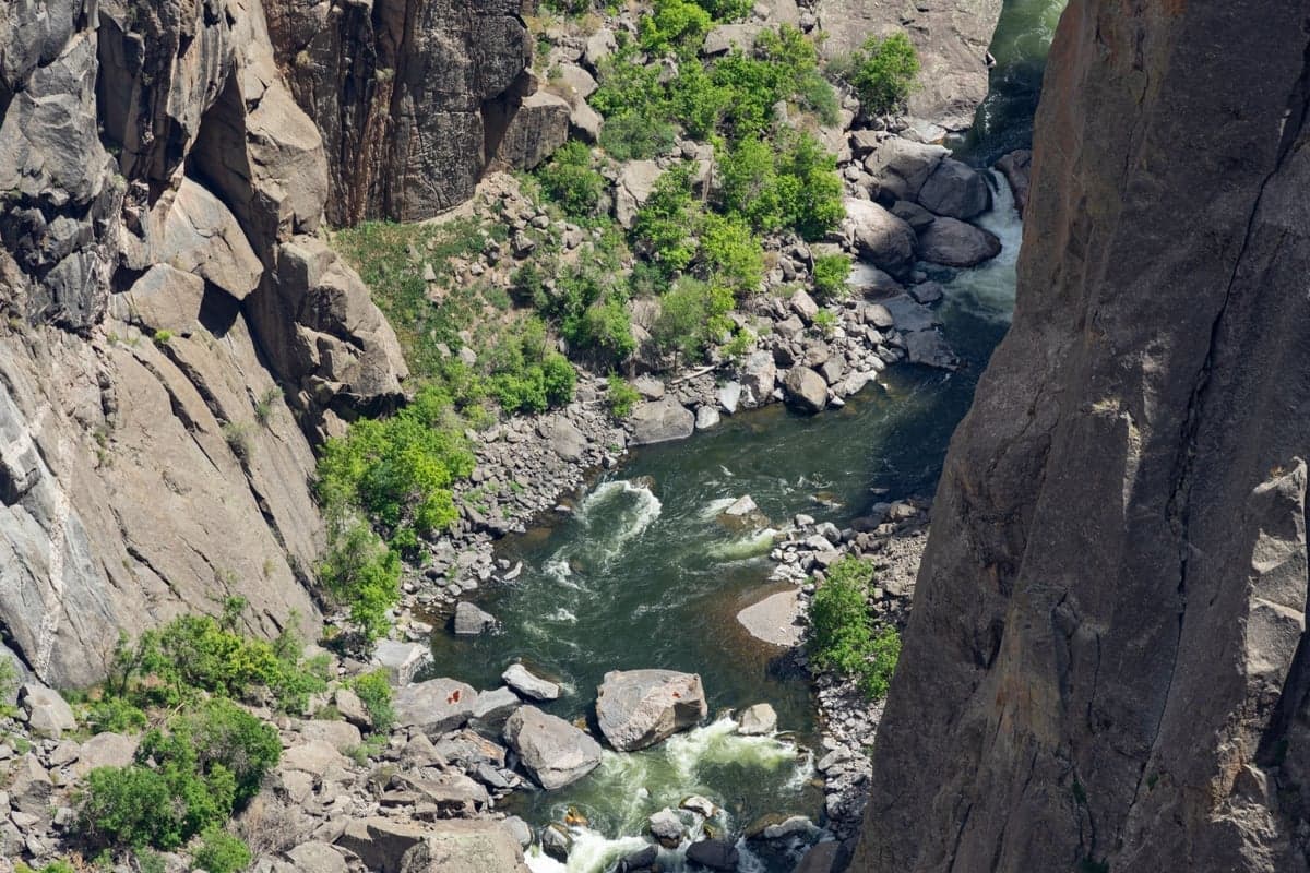 The Gunnison runs over canyon boulders the whole way through the Gorge. They are slick, the current between them is strong, and a wading staff is not optional at flows above 400 CFS.