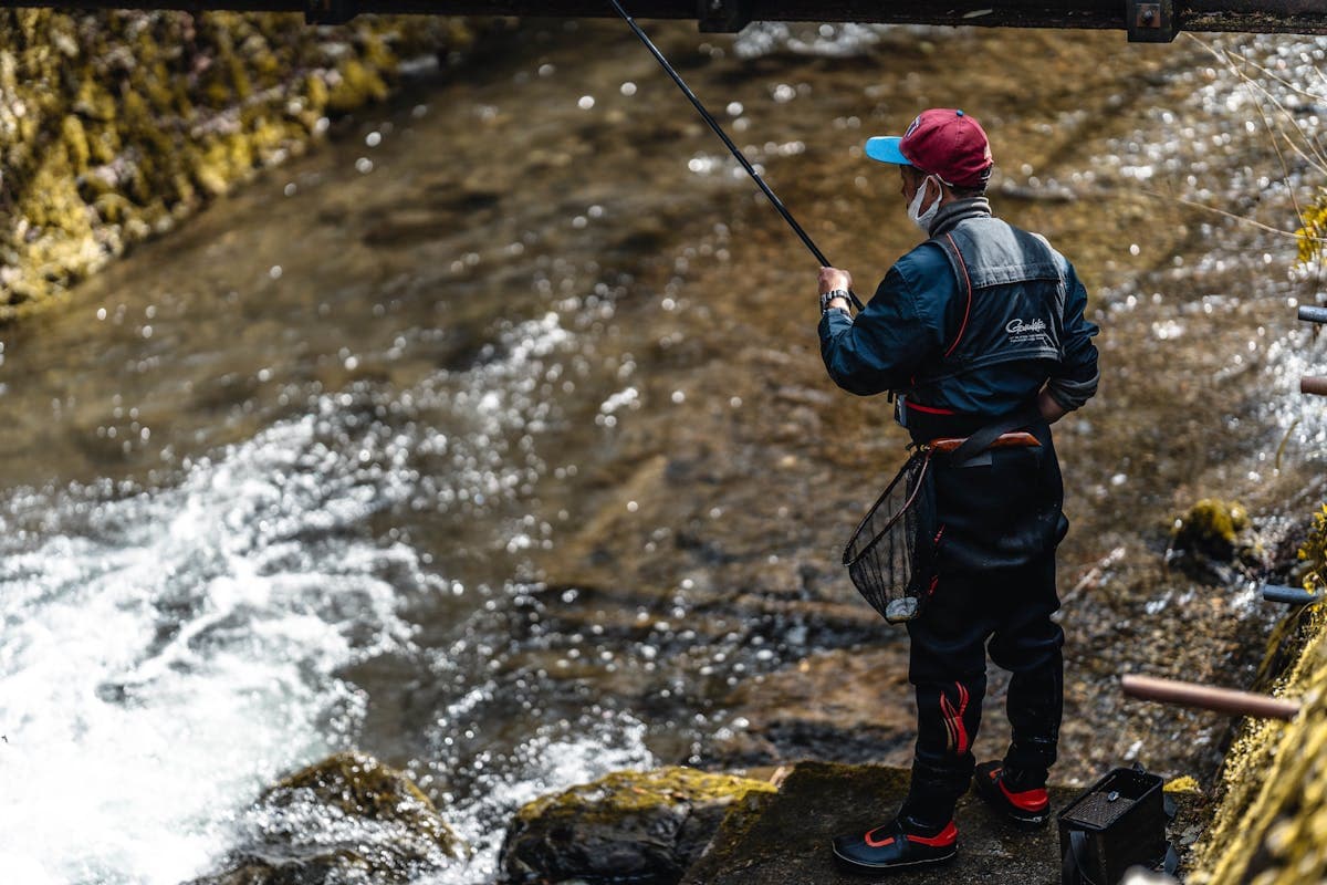 Casting on a sunny stretch of riffle water, the bread-and-butter of Madison River fishing