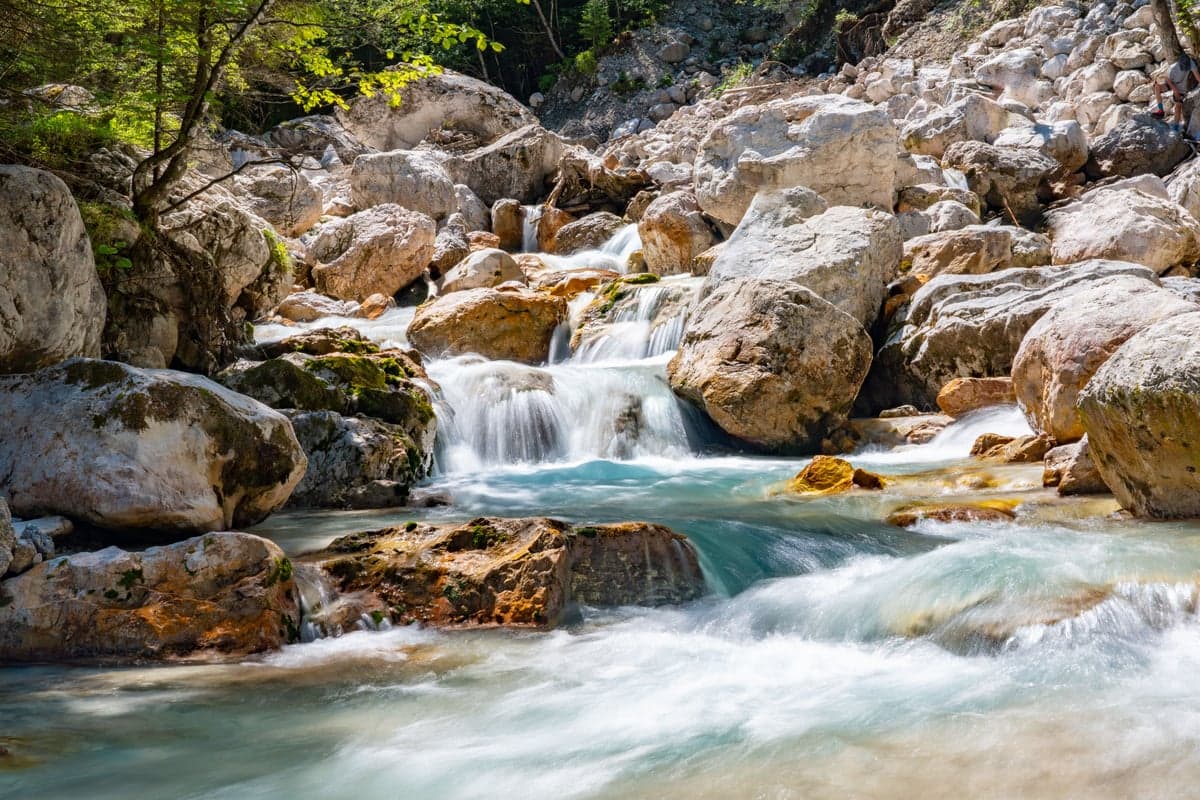 Cold mountain streams like this hold temperatures well below stress thresholds, even in midsummer. Elevation is your friend.