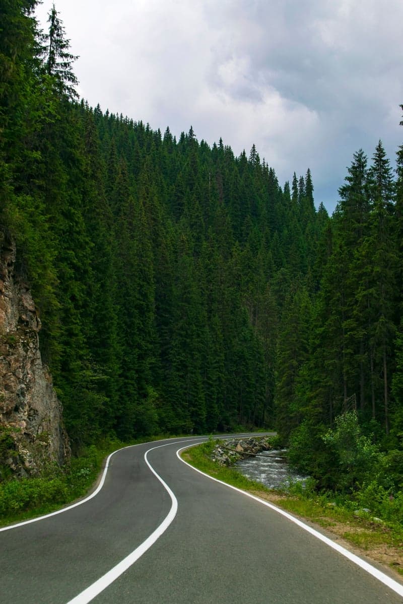 A paved two-lane through mountain forest, which is what the US-24 approach looks like. Do not picture this once you turn south at Lake George: the canyon road itself is nine miles of graded dirt with no centerline and no shoulder.