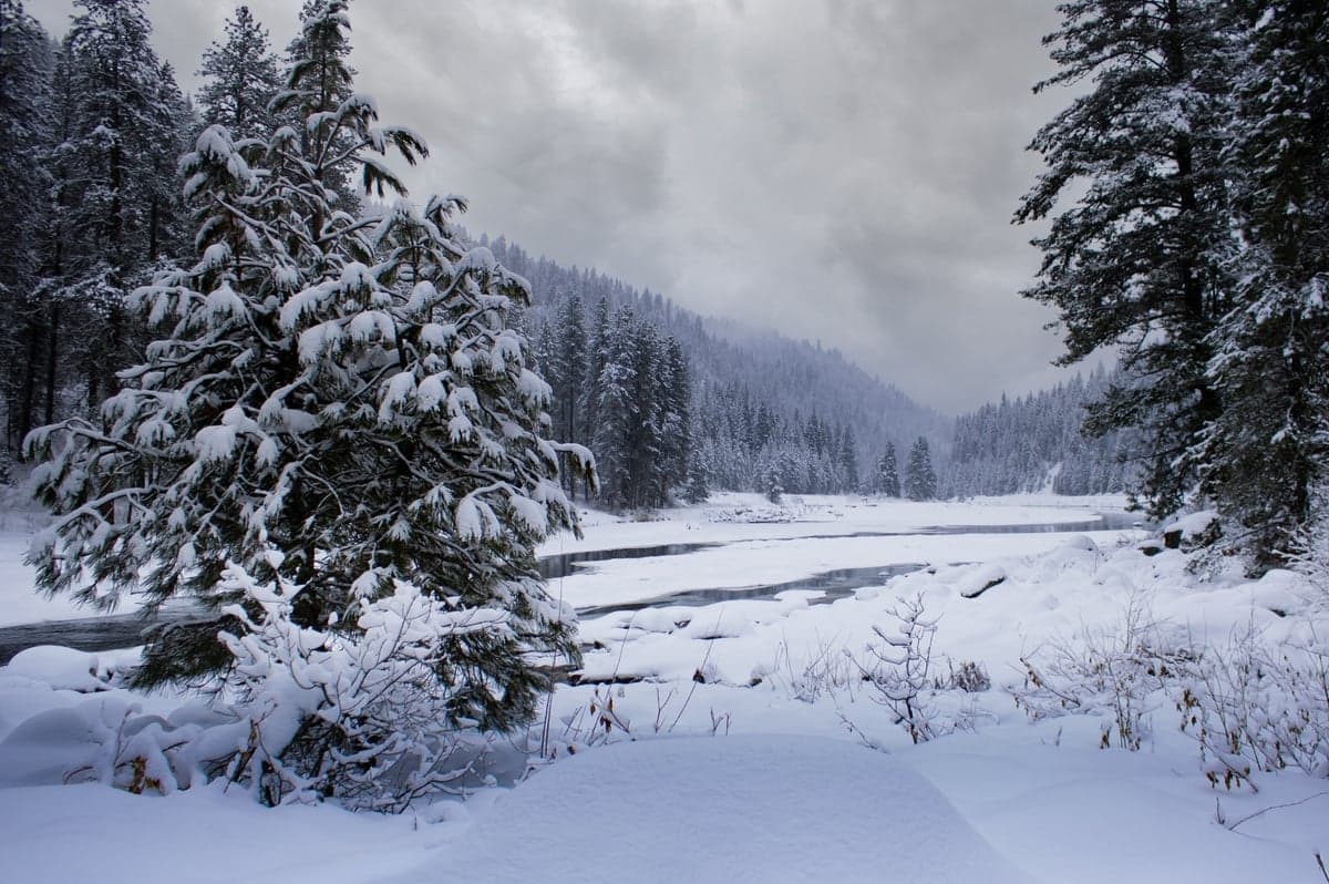 The road stays open through winter and the water below the dam rarely freezes. Fish the 11am to 2pm window when the water warms a couple of degrees.
