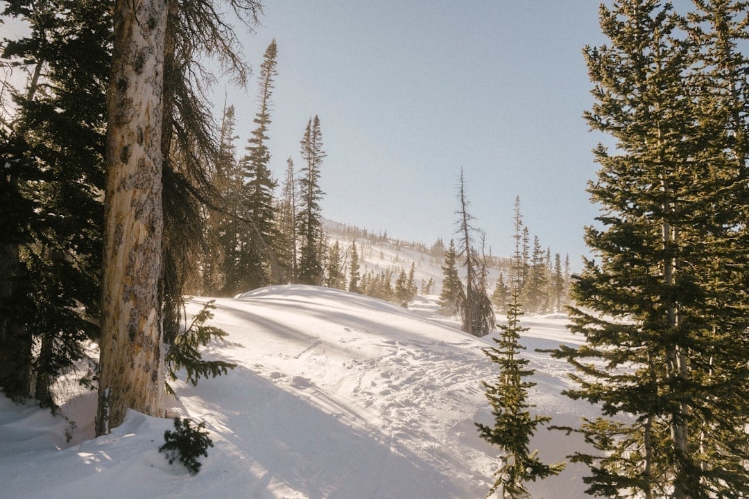 Mountain peaks near Winter Park, Colorado with alpine meadows in summer