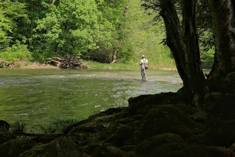 Fly fisherman wading in a mountain stream