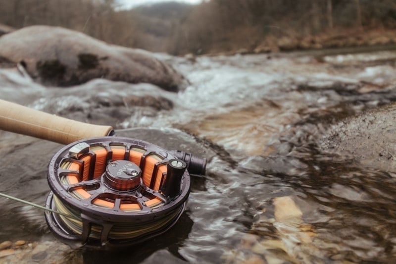 Fly fishing in a mountain stream