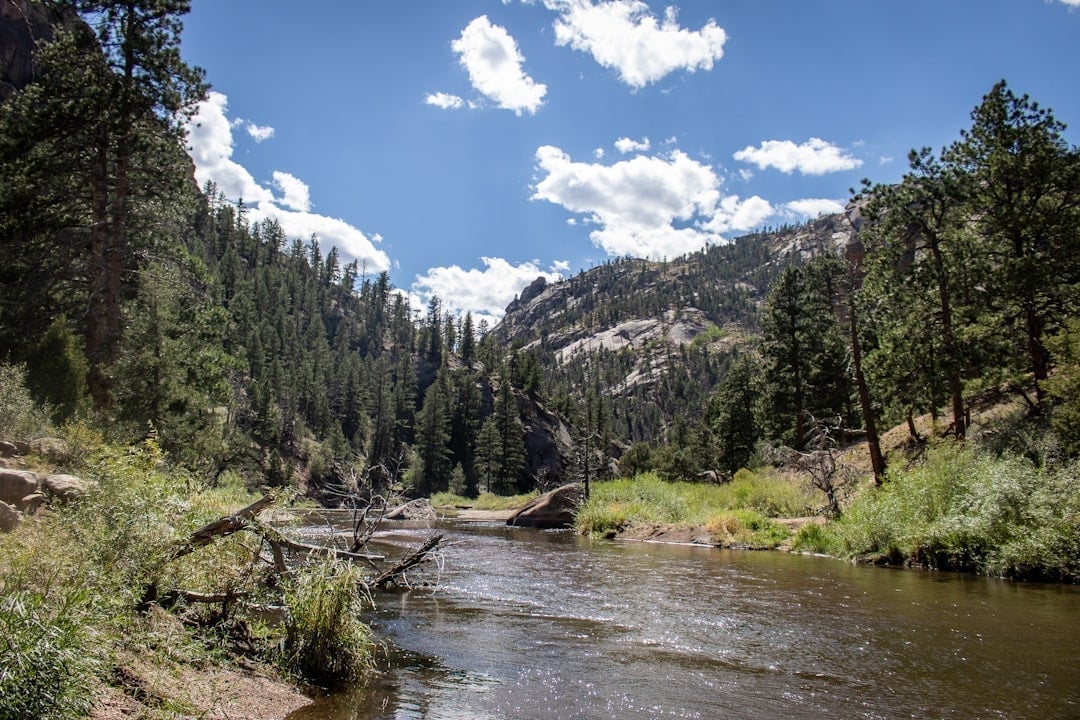 Mountain stream flowing through a Colorado valley with rocks and riffles