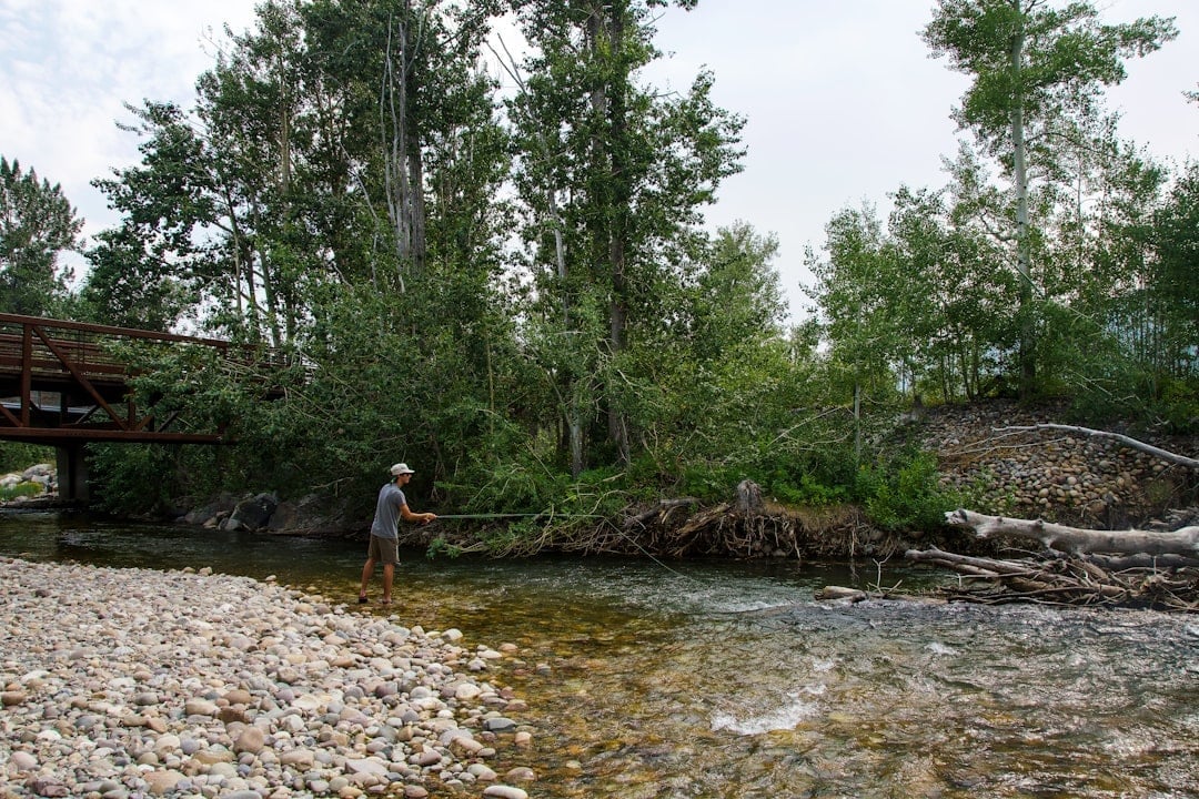 Clear mountain river with visible current and structure