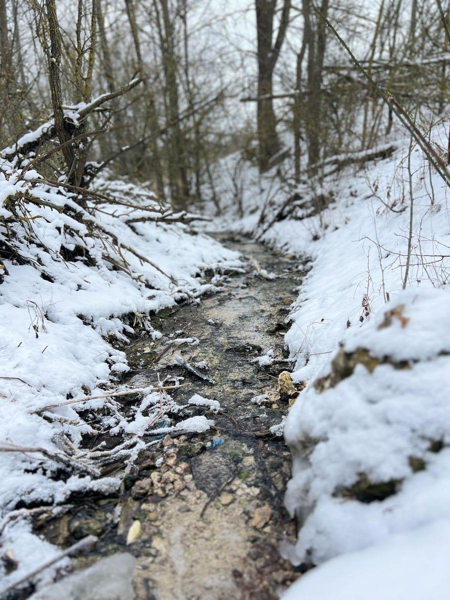 Angler fishing a forested river in winter with snow on the banks