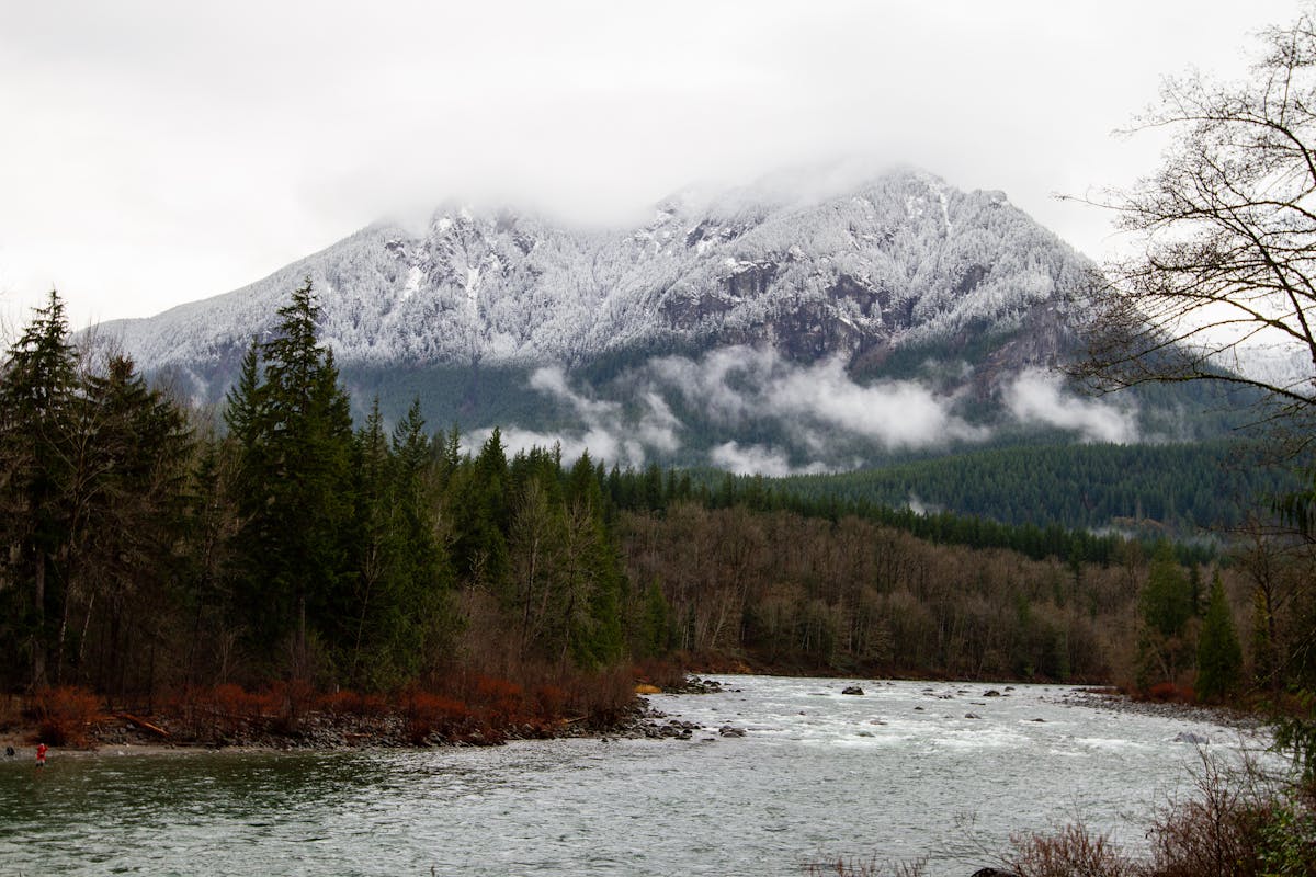 Pacific Northwest river flowing through forested Washington landscape