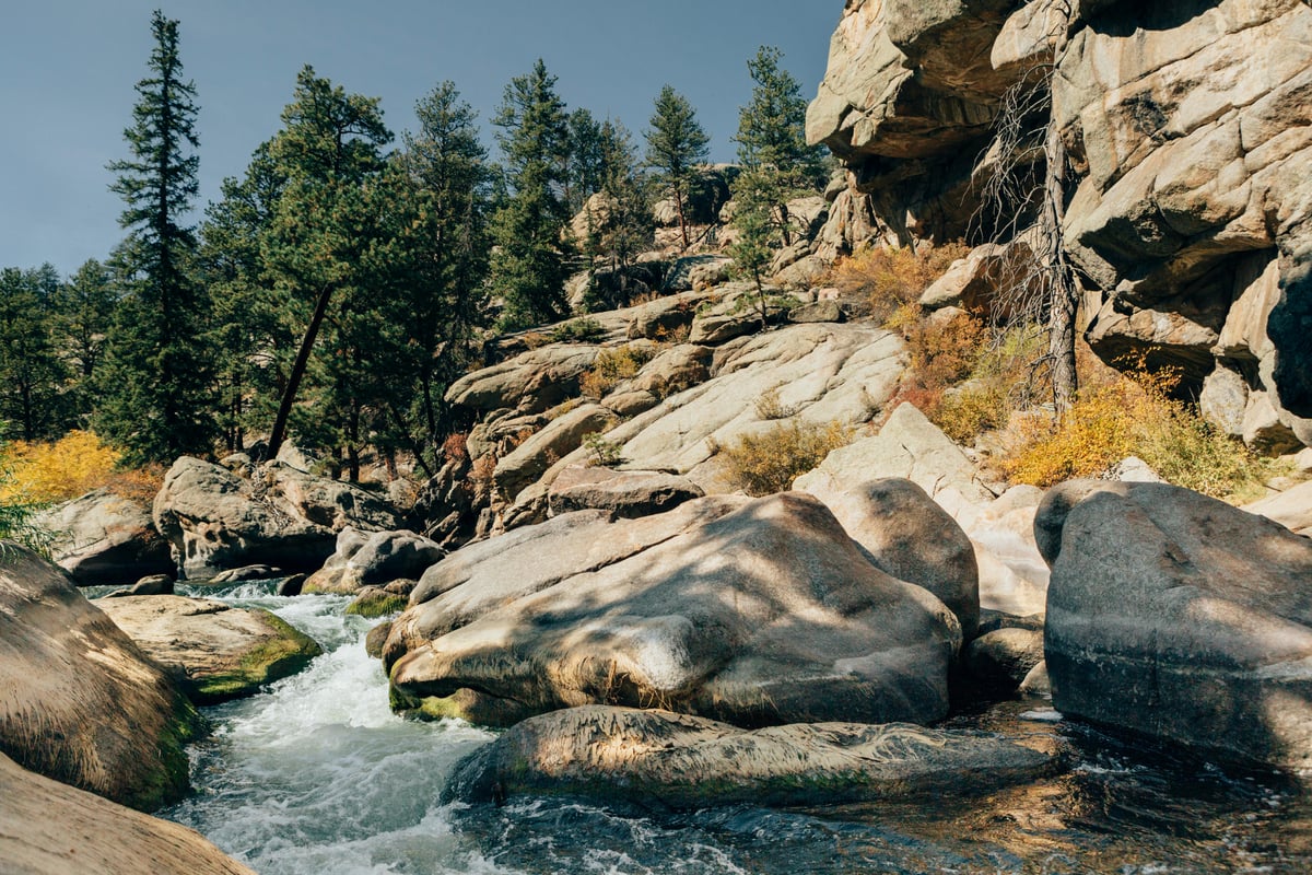Clear river running past pale granite slabs and ponderosa pine in a Colorado canyon