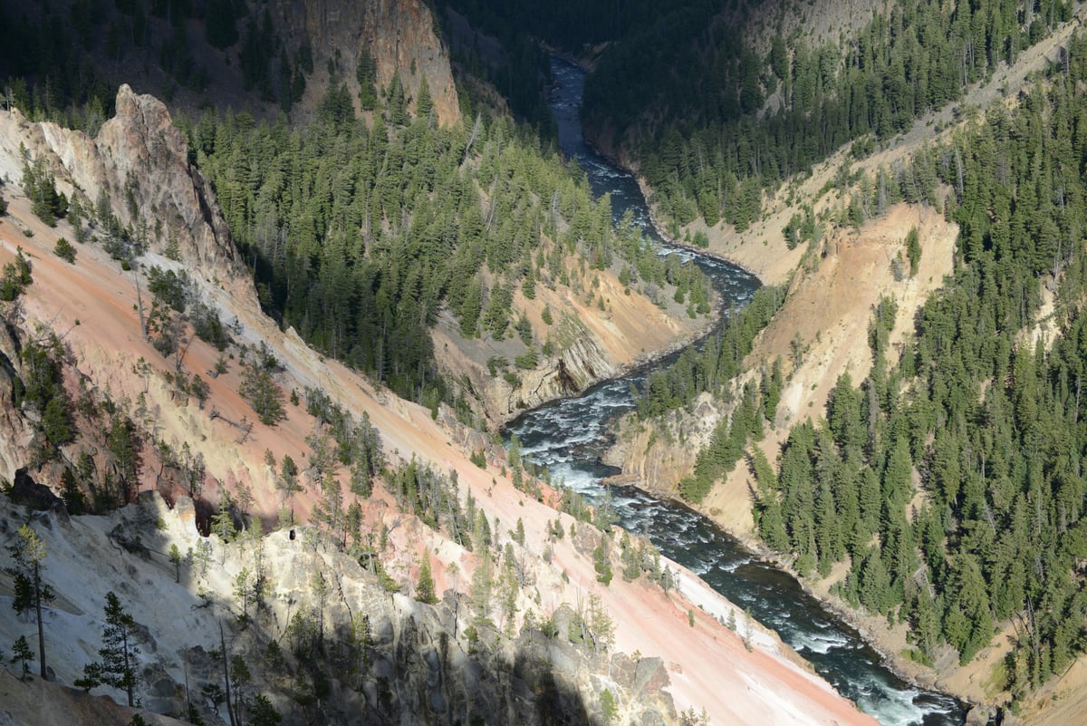 Aerial view of the Yellowstone River winding through a green canyon in Yellowstone National Park