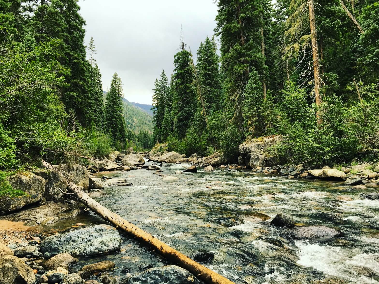 a pictureesque creek